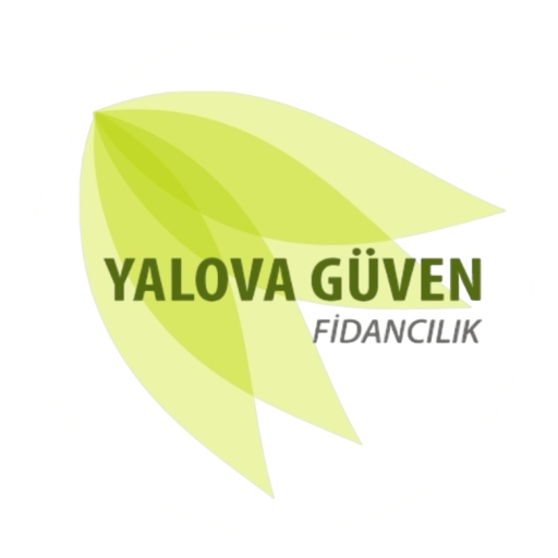 YALOVA GÜVEN FİDANCILIK