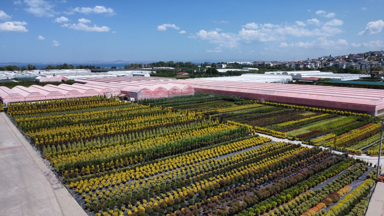 Yalova Güven Fidancılık nursery fields and greenhouses